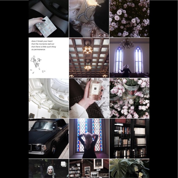 🖤Posh Ambassador🖤 - Picture 8 of 8